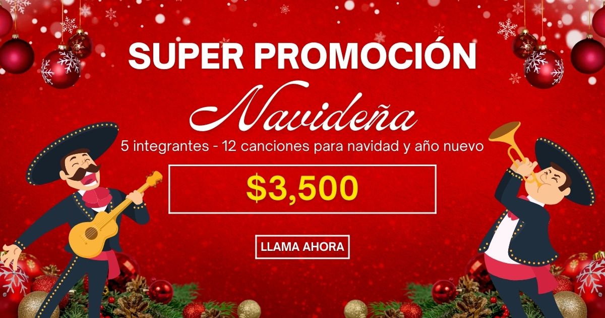 promo navidad